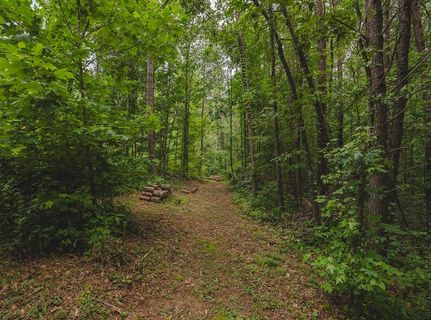 Property in Grainger County, Tennessee