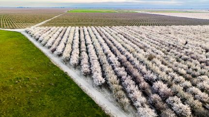 Property in Madera County, California