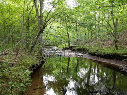 Property in Davidson County, North Carolina