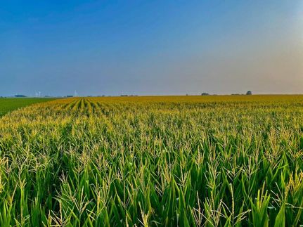 Property in Webster County, Iowa
