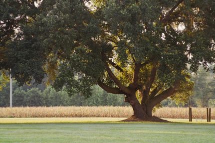 Property in Colleton County, South Carolina