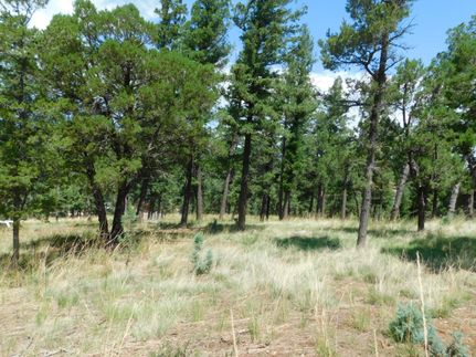 Property in Lincoln County, New Mexico
