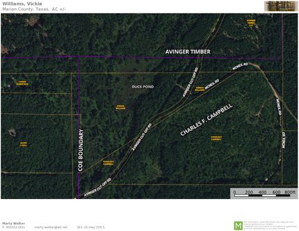 Timberland Property for sale in Cass County, Texas