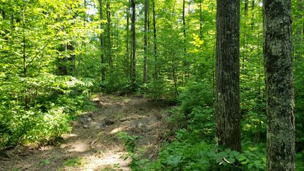 Property in Forest County, Wisconsin