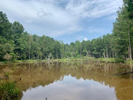 Property in Butler County, Alabama