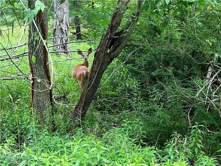 Property in Sullivan County, New York