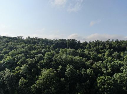 Property in Greene County, Tennessee