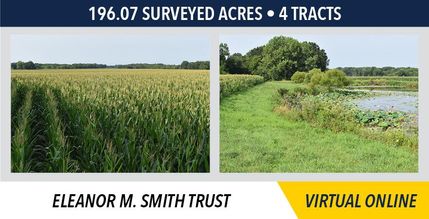 Property in Schuyler County, Illinois