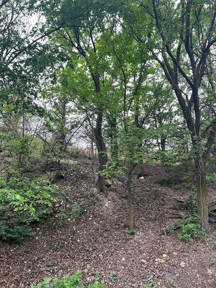 Property in Ellis County, Kansas