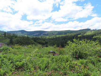 Property in Clark County, Washington