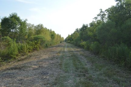 Property in Saint Martin Parish, Louisiana
