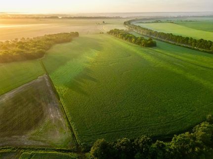 Property in Mississippi County, Missouri