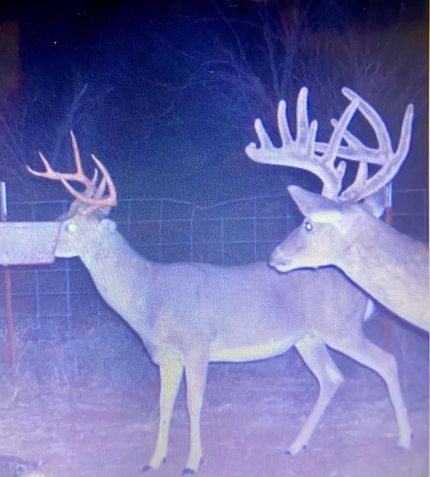 Property in Hall County, Texas