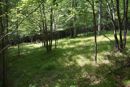 Property in Marinette County, Wisconsin