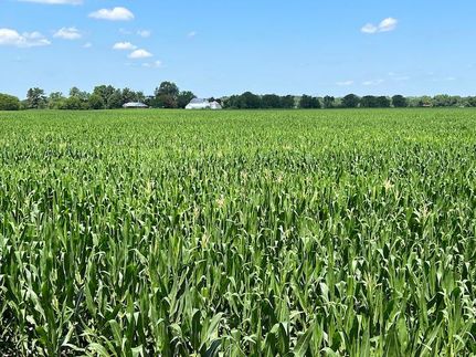 Property in Fulton County, Illinois