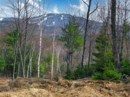 Property in Sullivan County, New Hampshire