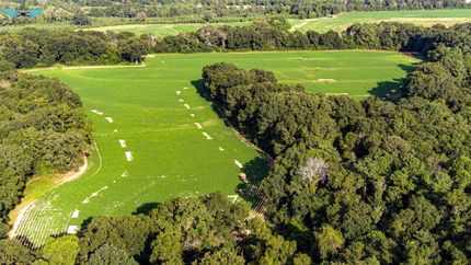 Property in Dale County, Alabama