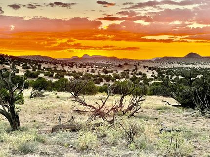Property in Socorro County, New Mexico
