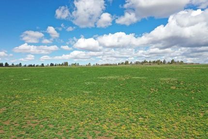 Property in Montrose County, Colorado