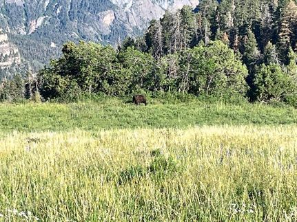 Property in Ouray County, Colorado
