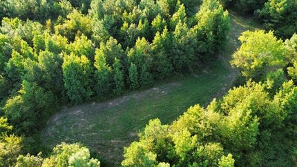 Property in Scott County, Mississippi