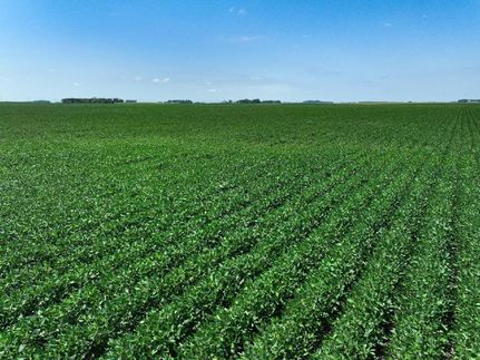 Property in Faribault County, Minnesota