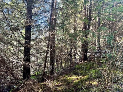 Property in Baker County, Oregon