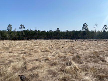 Property in Alamance County, North Carolina