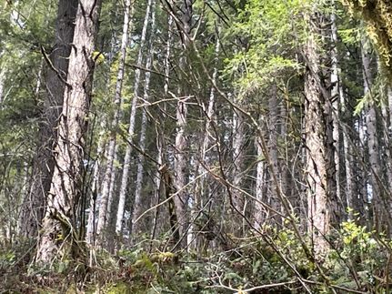 Property in Benton County, Oregon