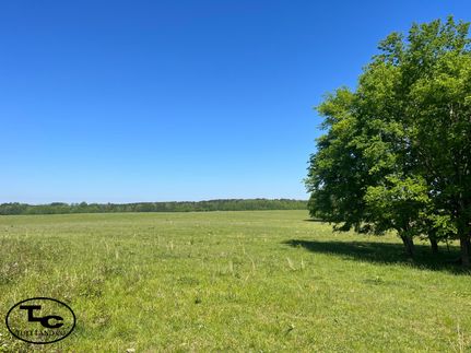 Property in Greene County, Alabama