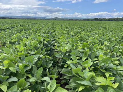 Property in Independence County, Arkansas