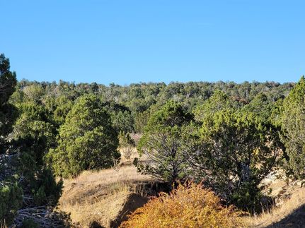 Property in Huerfano County, Colorado