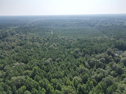 Property in Wayne County, Mississippi