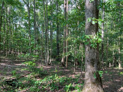 Property for sale in Chester County, Tennessee