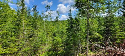 Property in Lincoln County, Maine