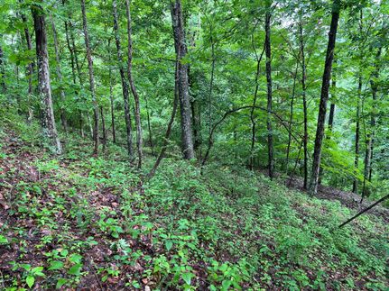 Property in Wirt County, West Virginia