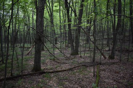 Property in Marinette County, Wisconsin