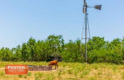 Property in Hidalgo County, Texas