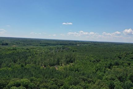 Property in Henry County, Tennessee