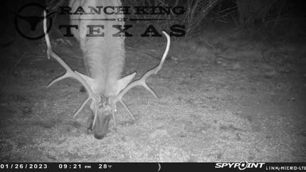 Property in Val Verde County, Texas