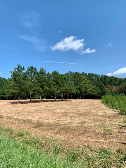 Property in Wilkes County, Georgia