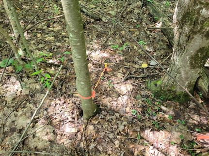 Property in Otsego County, New York