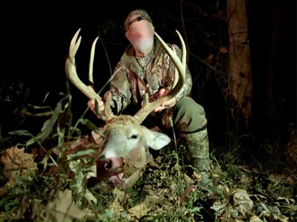 Property in Union County, Illinois