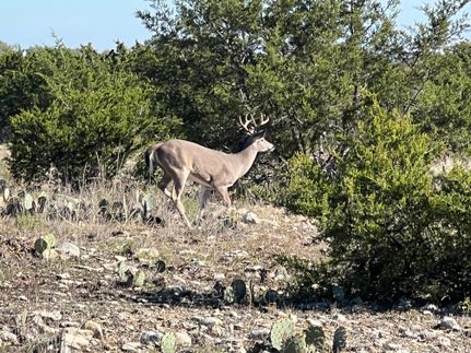 Property in Sutton County, Texas