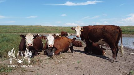 Property in Texas County, Oklahoma