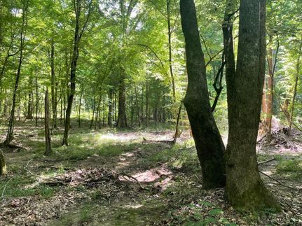 Property in Madison County, Mississippi