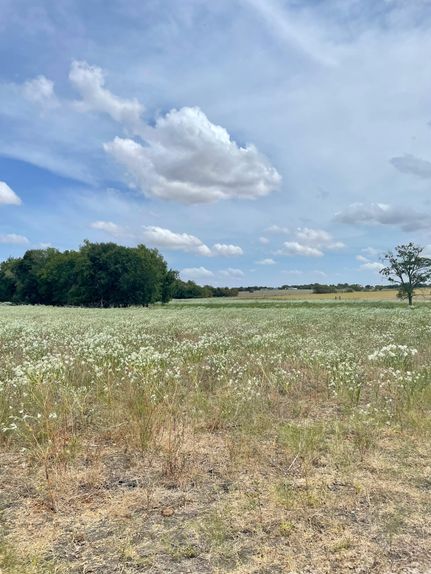 Property for sale in Washington County, Texas