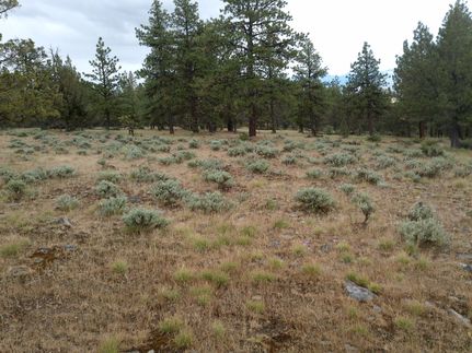 Property in Grant County, Oregon