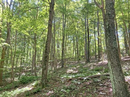 Property in Kanawha County, West Virginia