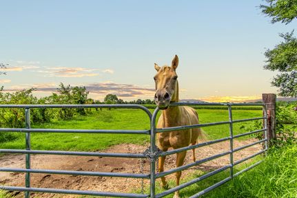 Property in Obion County, Tennessee